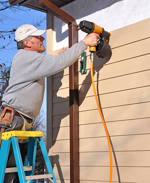 Best Siding Replacement  in Rockford, IL